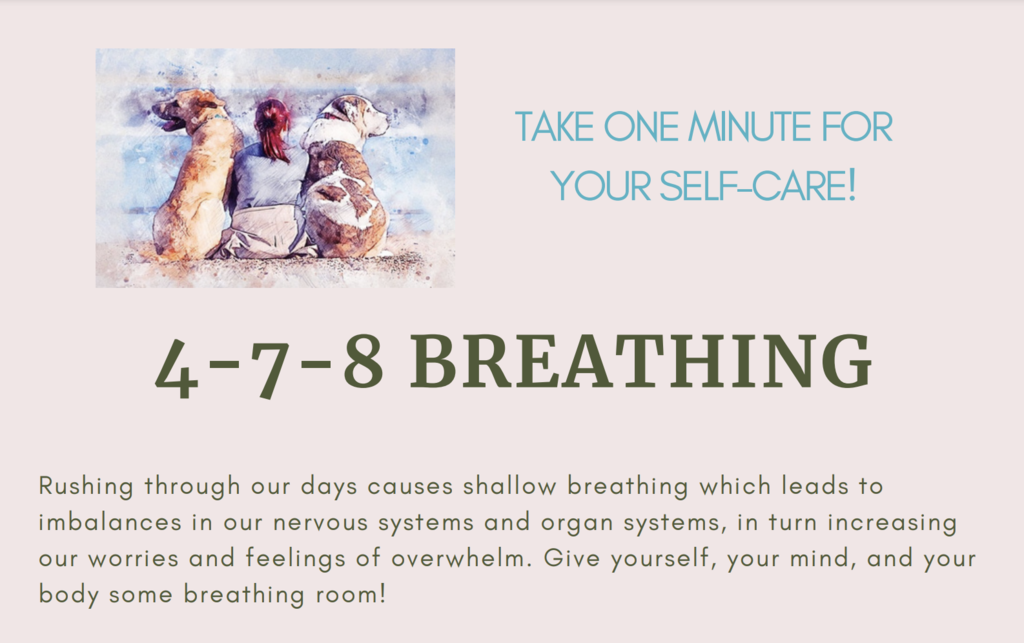 4-7-8 Breathing Screenshot 2024 11 05 At 21.33.29 1024x643