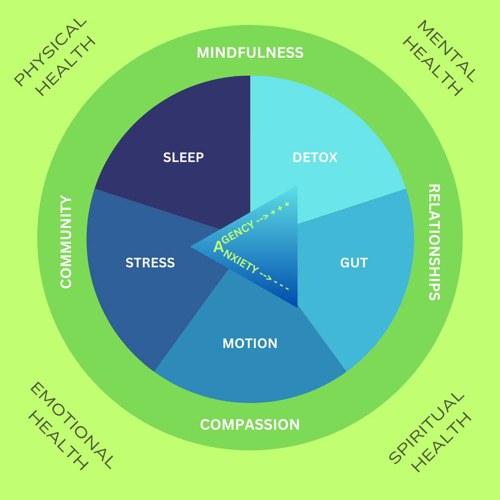 Thrive in Midlife Pillars Of Well Being Wheel AND MULTIDIMENSIONAL HEALT 1 1024x1024